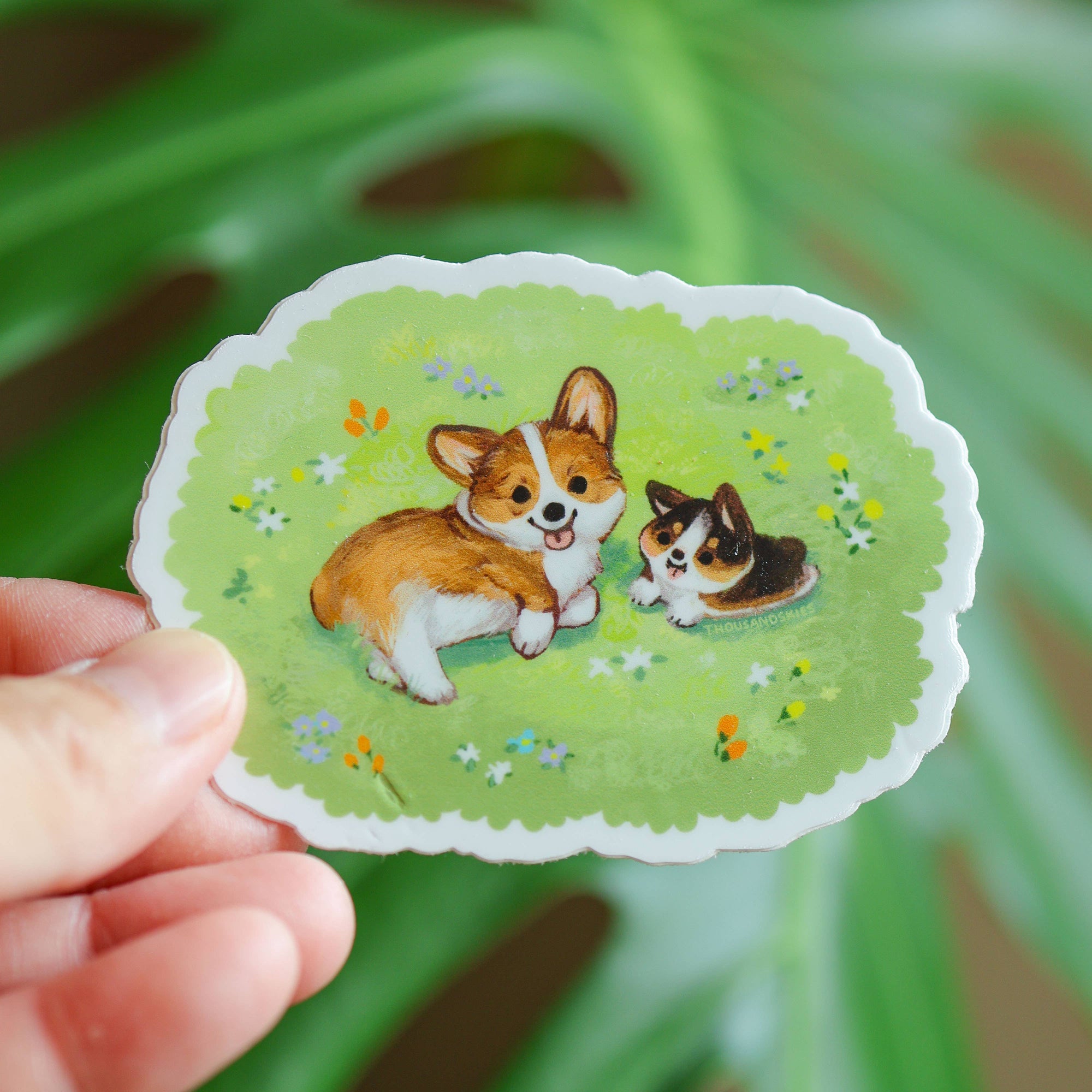 Sticker of two corgis on a green background held by a hand with a blurred green leafy background
