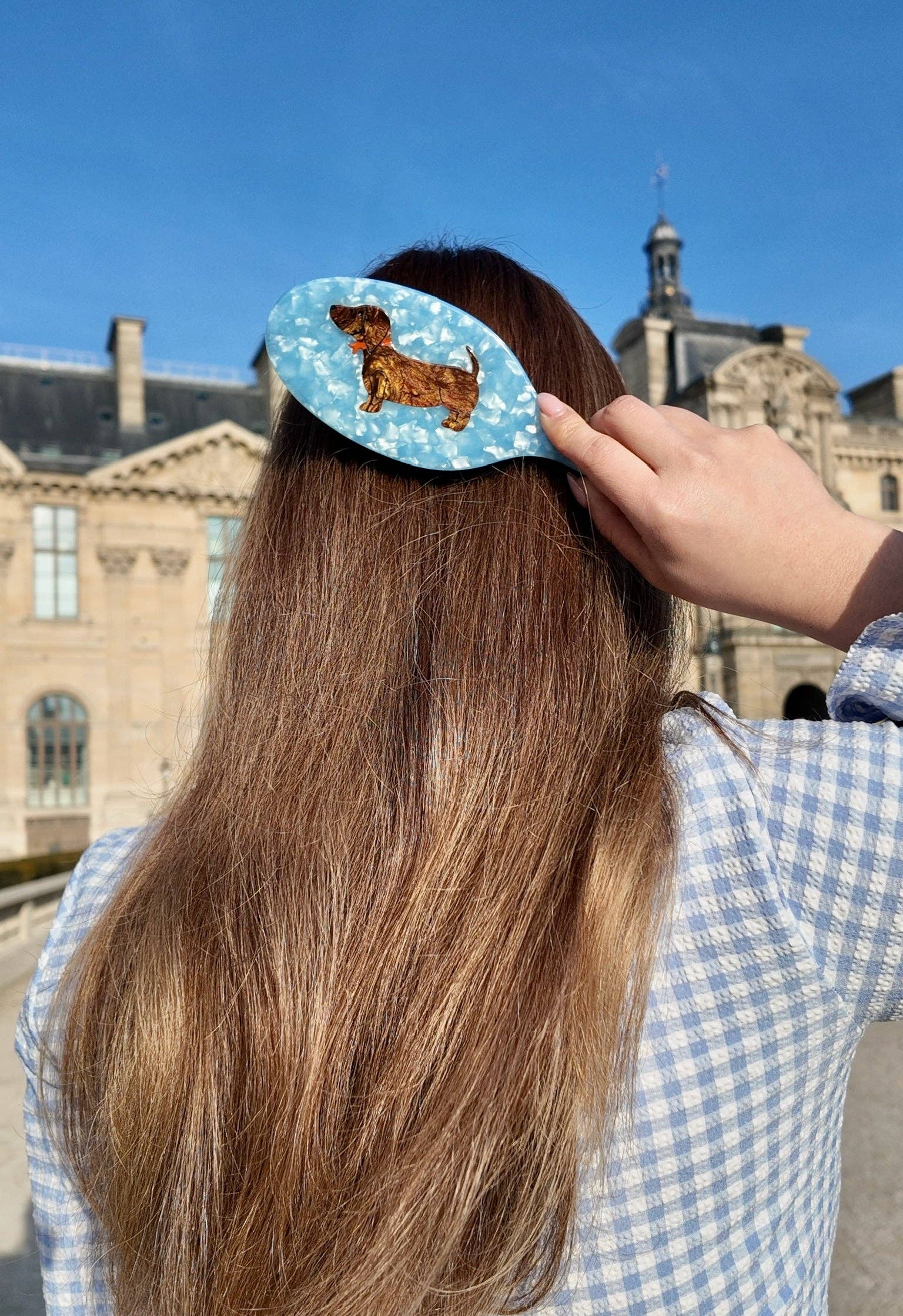 Person wearing a hair clip with a dog design against a castle background