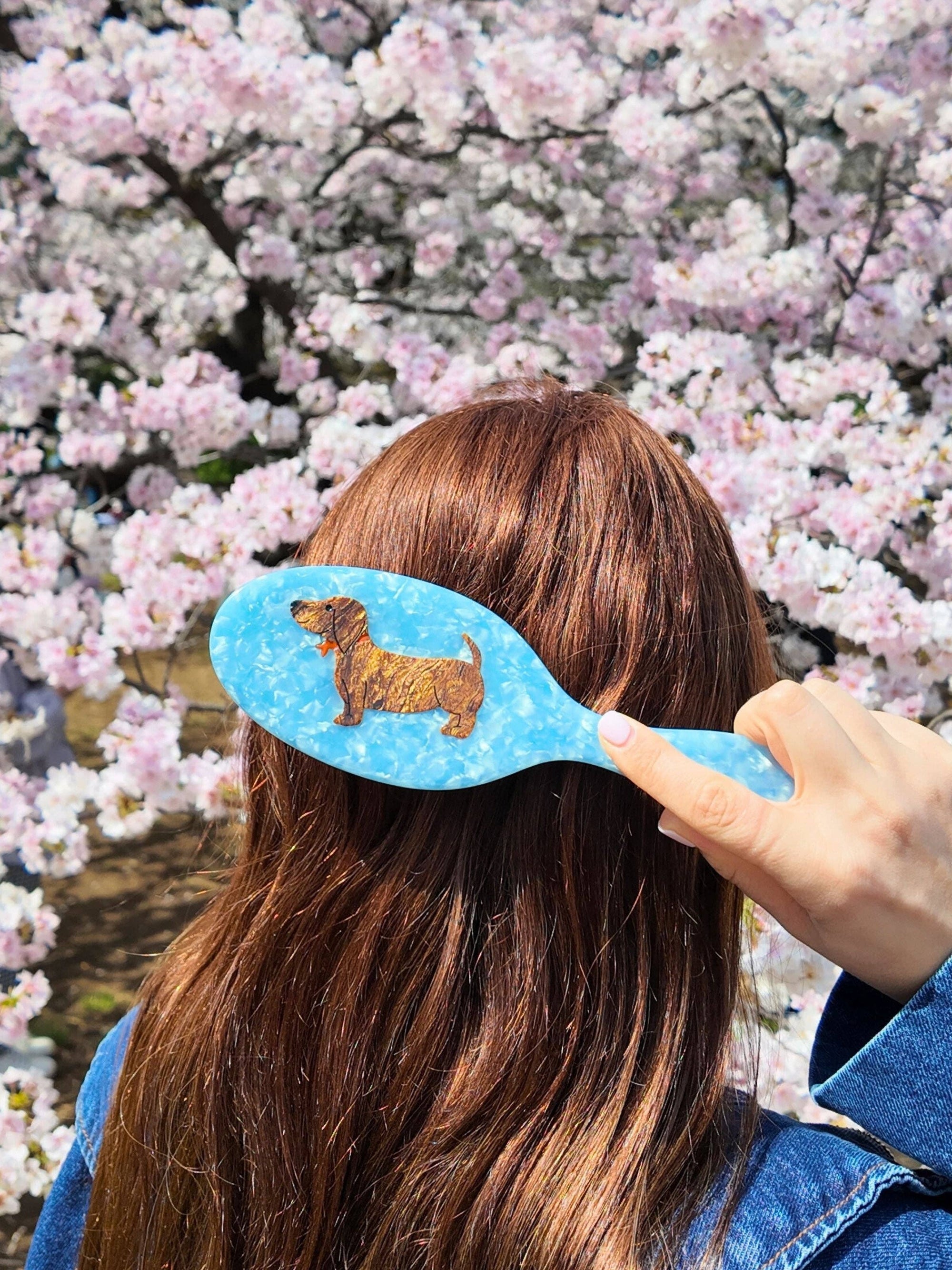 Person holding a blue hairbrush with a dachshund design against a cherry blossom background