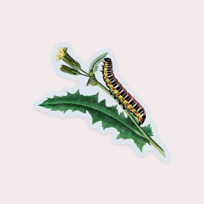 A sticker depicting a caterpillar on a leaf.