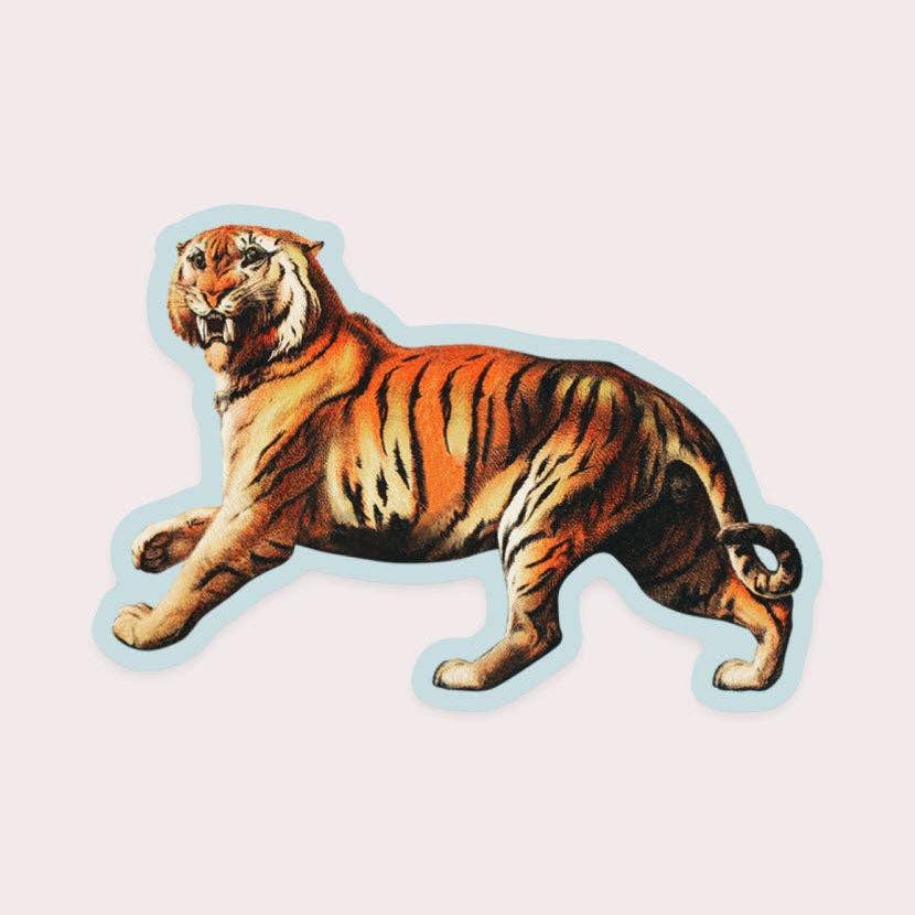 Aghast Tiger - Gap Filler Sticker