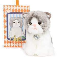 Amelie the Scottish Fold in giftbox