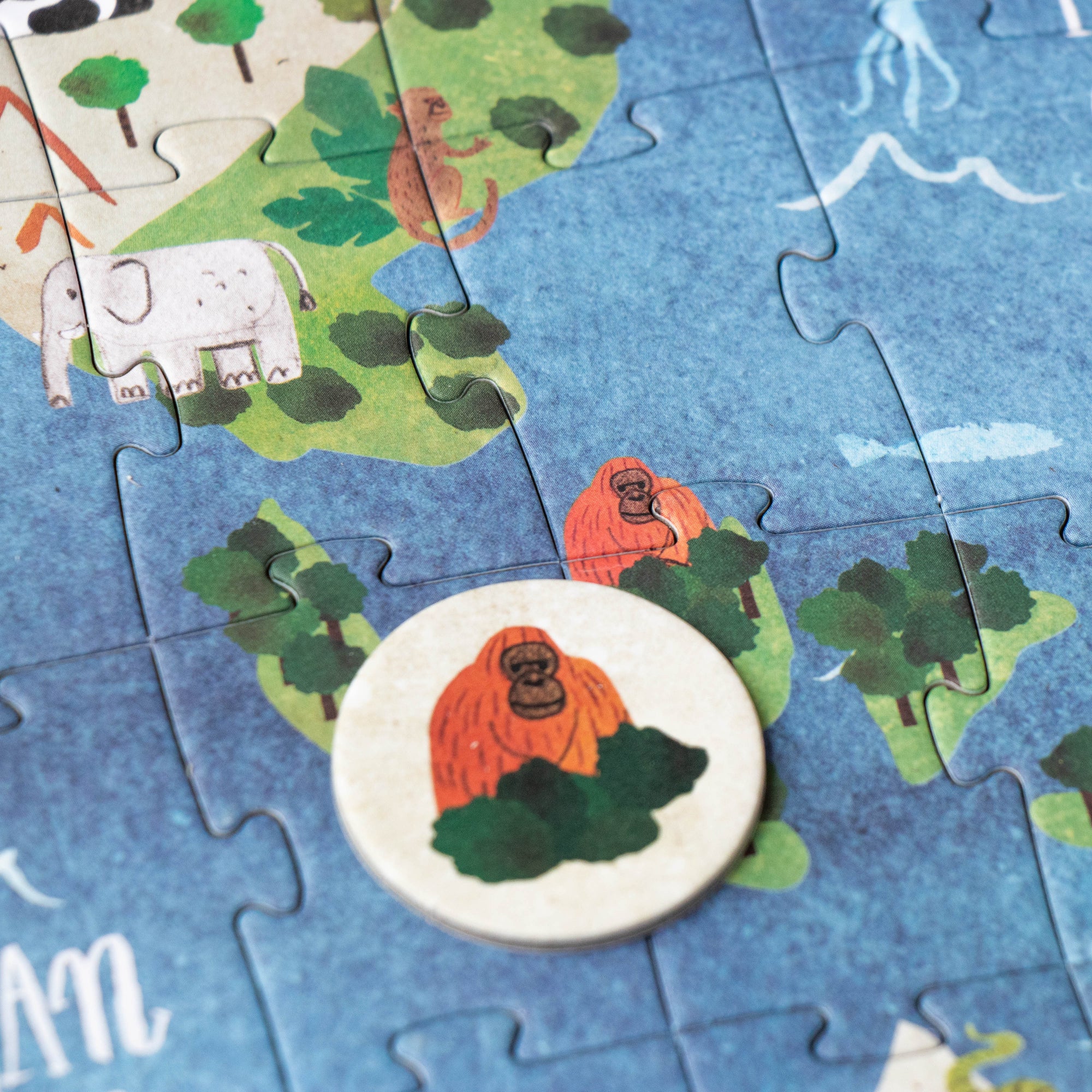 Children's puzzle with a map of Oceania and an orangutan figure.