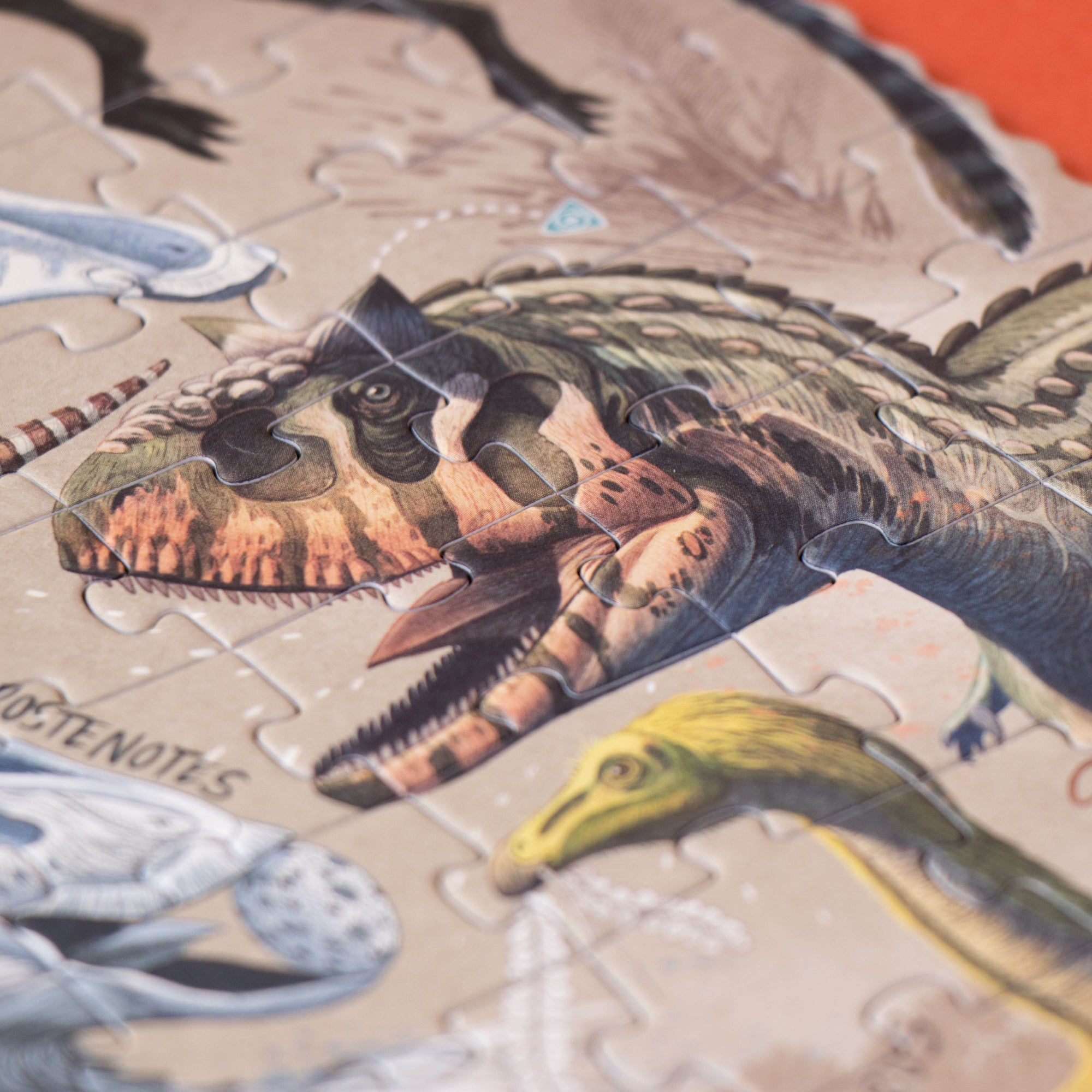 Close-up of a dinosaur puzzle with partially completed pieces on a red background