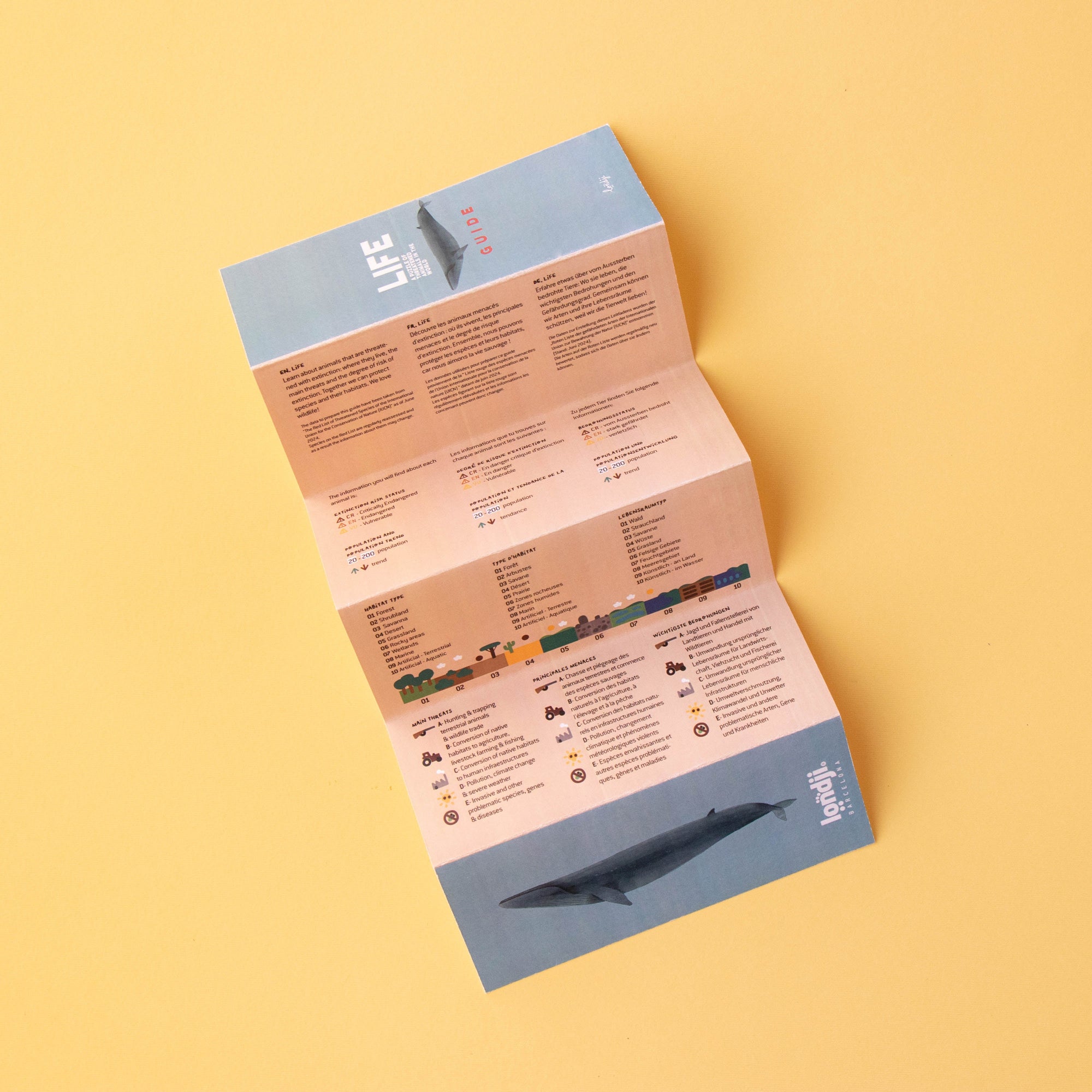 Foldout leaflet with text and illustrations on a yellow background