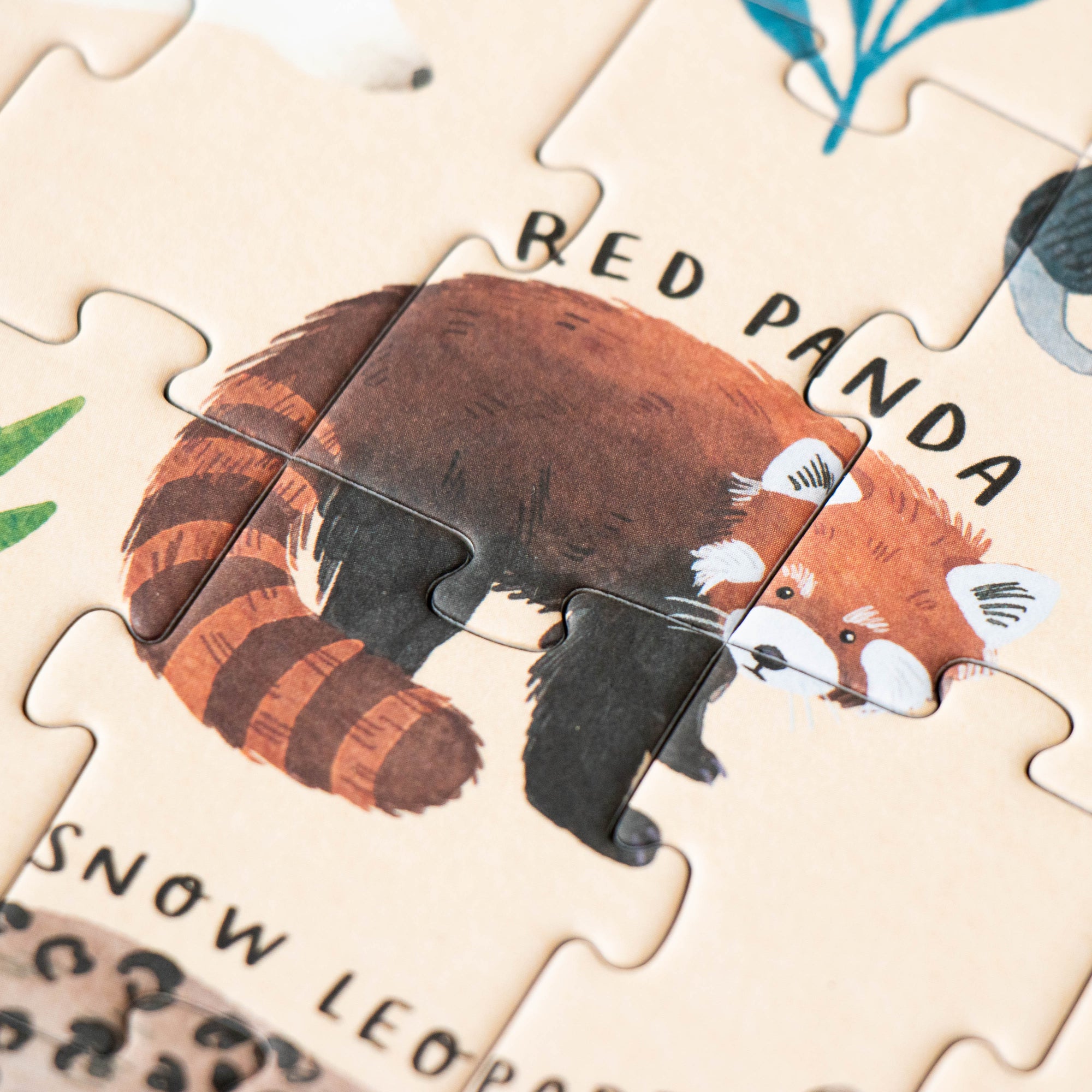 Jigsaw puzzle with red panda illustration on a beige background