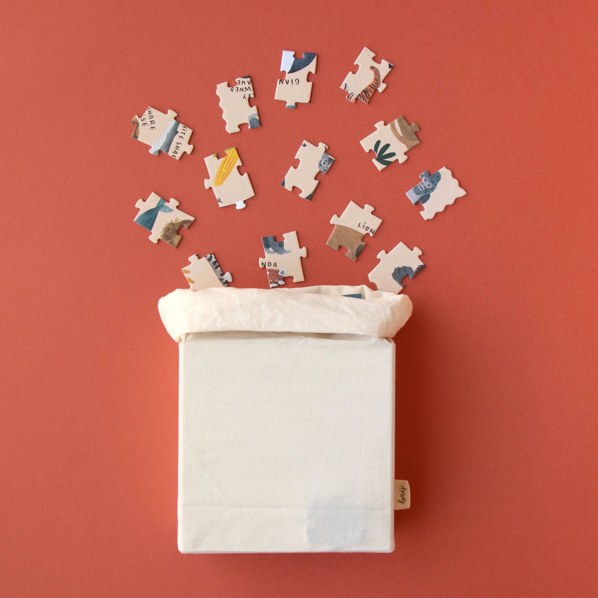 Puzzle pieces spilling out of a box on a red background