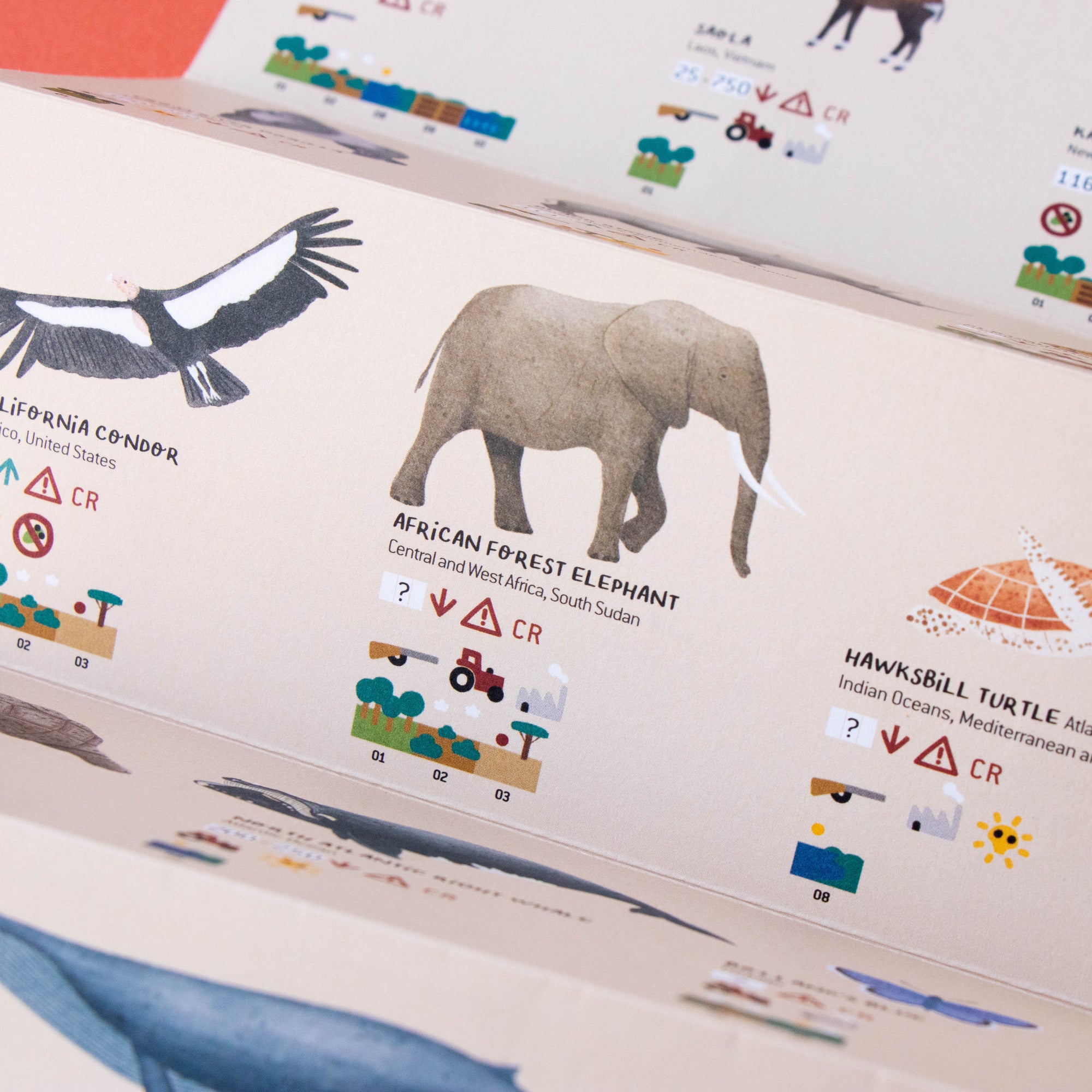 Book open to pages with illustrations of animals and conservation status symbols on a red background