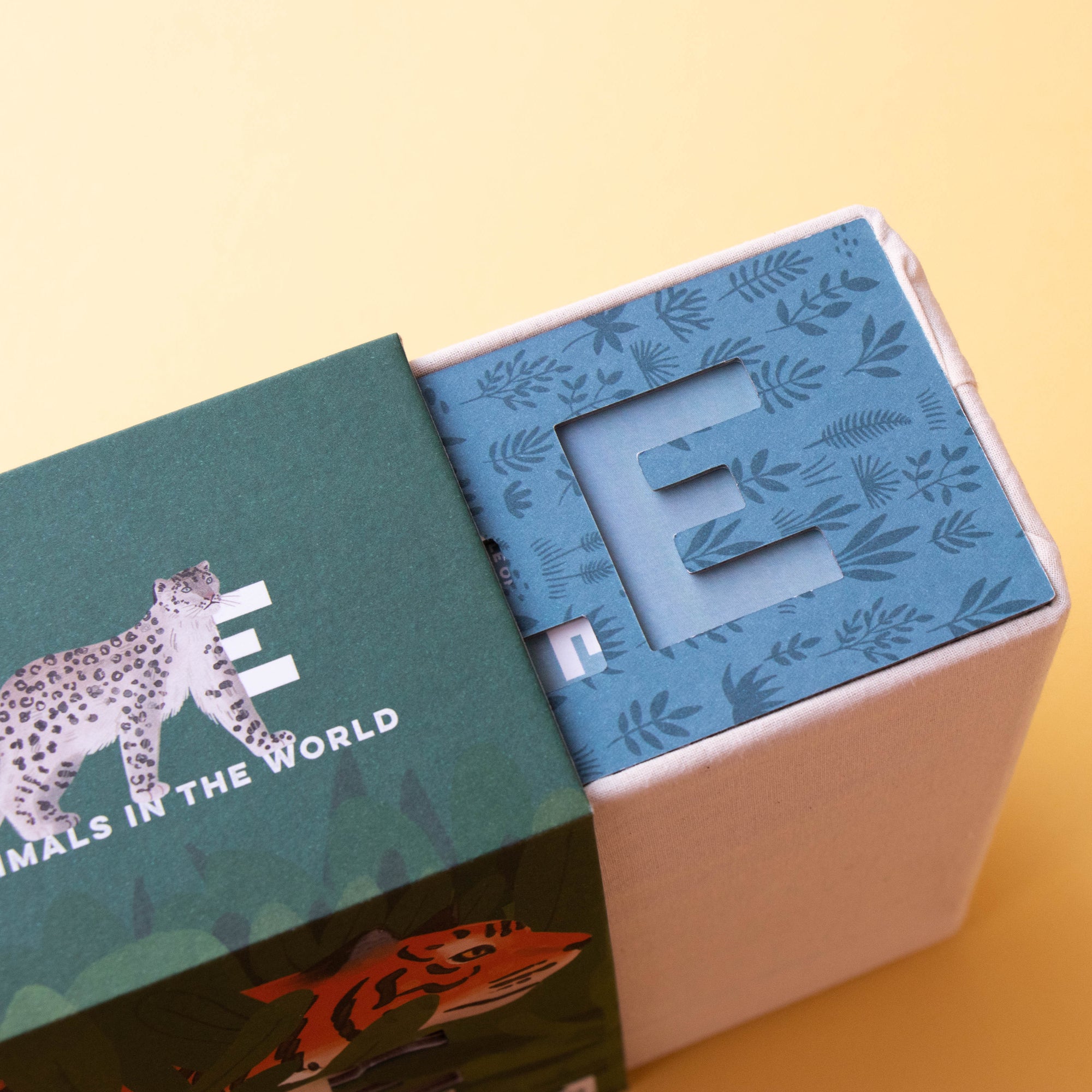 Box with a letter 'E' on a yellow background