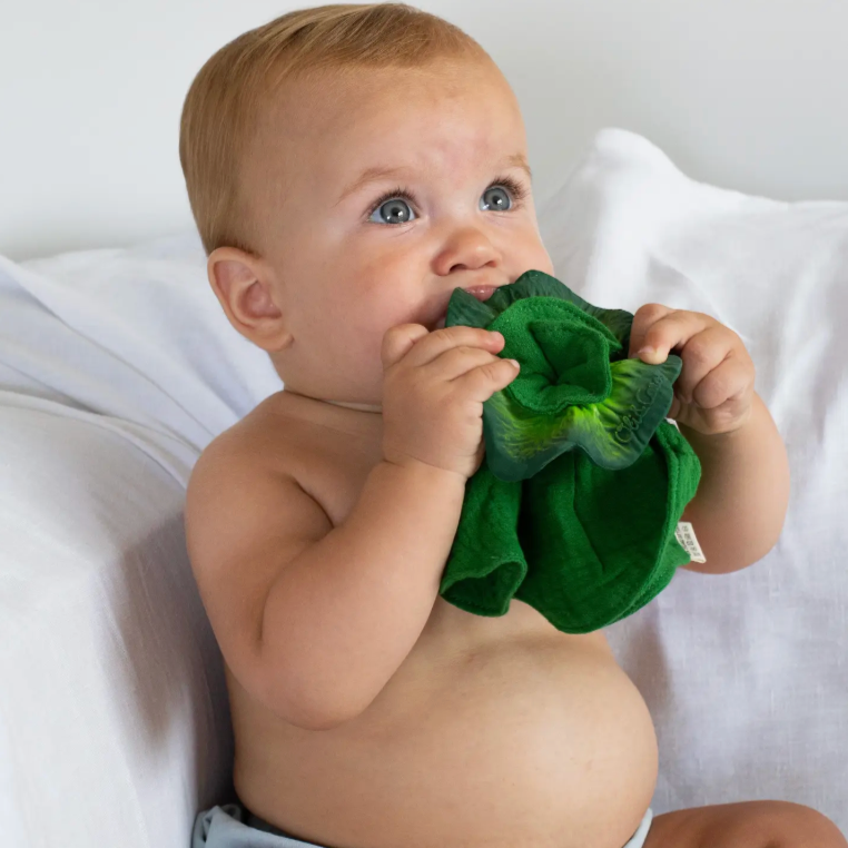 Kendall the Kale Mini DouDou Teether