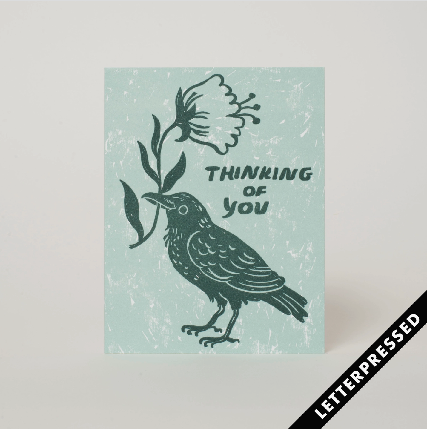 Thinking of You Crow -Phoebe Wahl