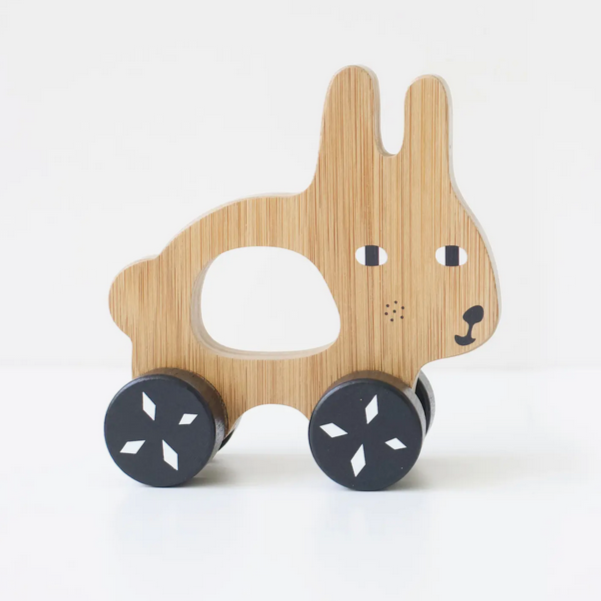Push Toy - Bunny