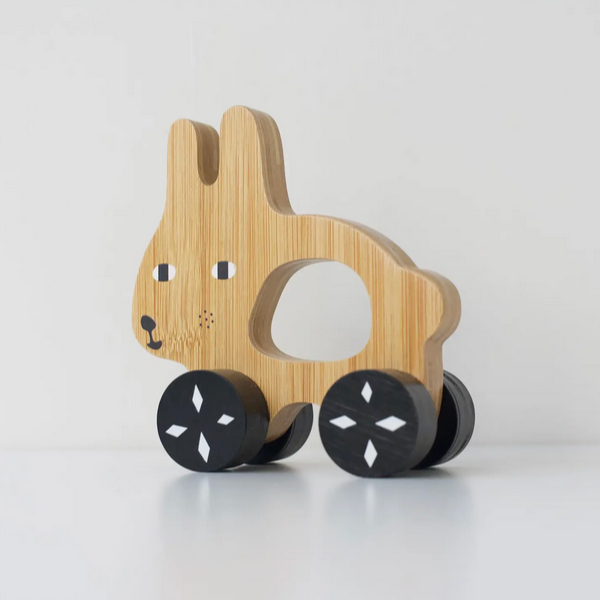 Push Toy - Bunny