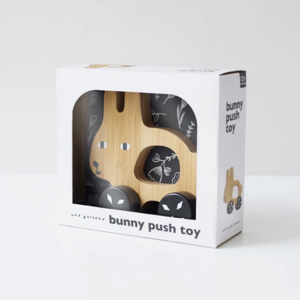 Push Toy - Bunny