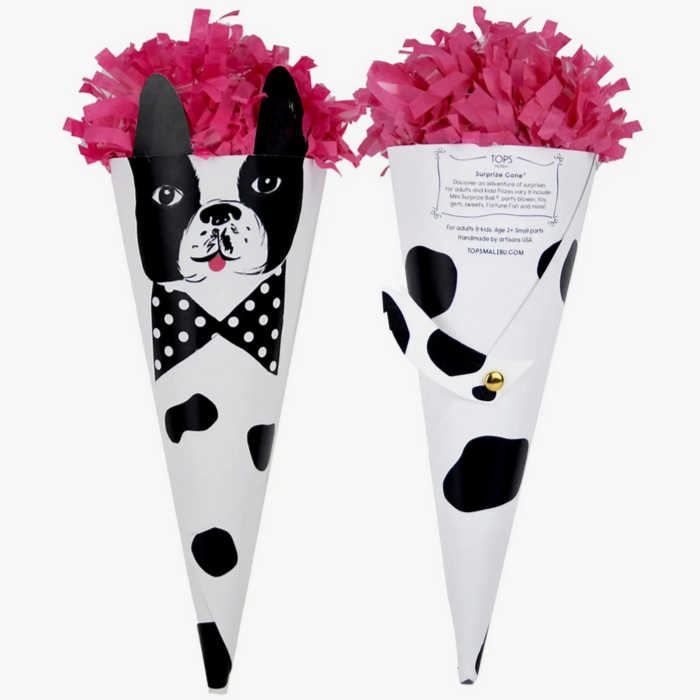 Character Surprize Cones