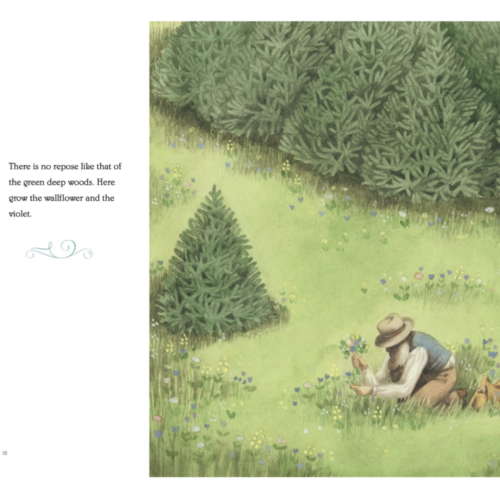 Wilderness- The World of John Muir
