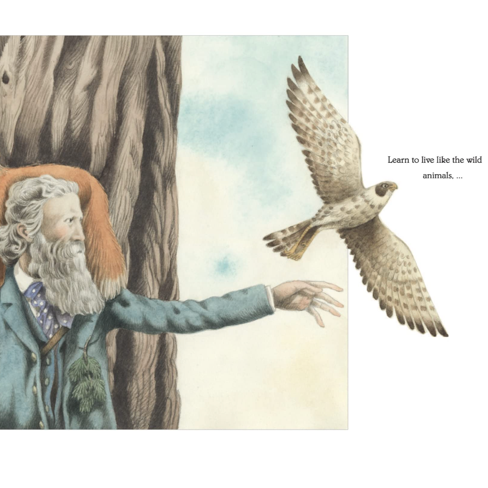 Wilderness- The World of John Muir