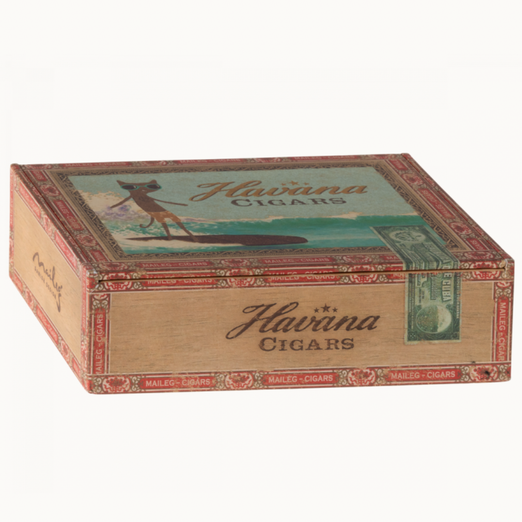 Mum and Dad Mice in Cigarbox