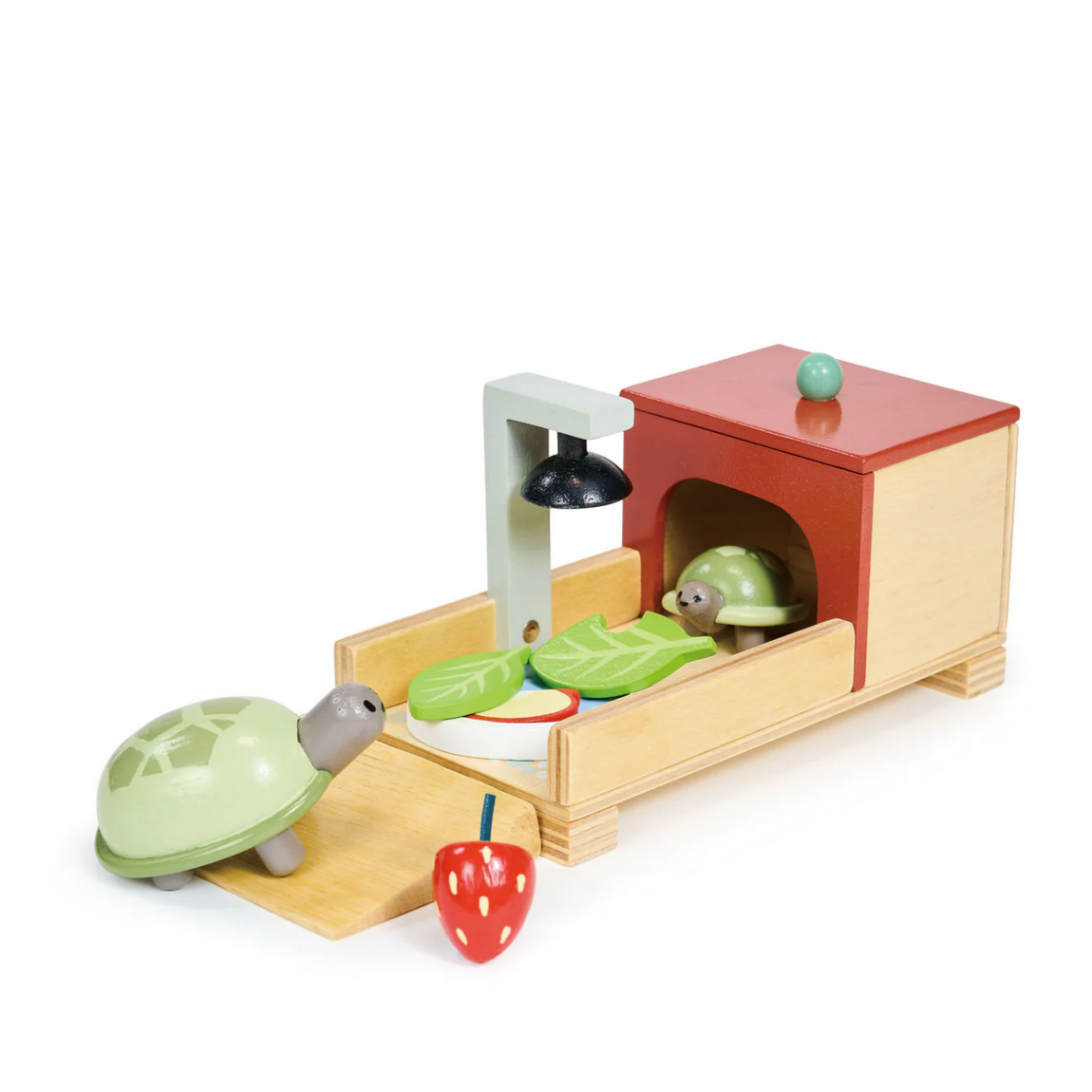 Tortoise Pet Set