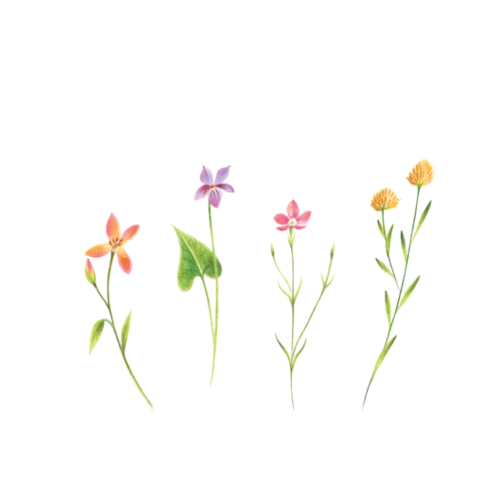 Petite Florals Tattoo Pair