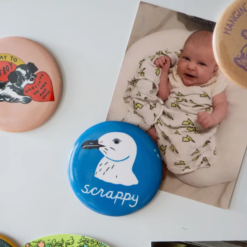 Scrappy Seagull Magnet