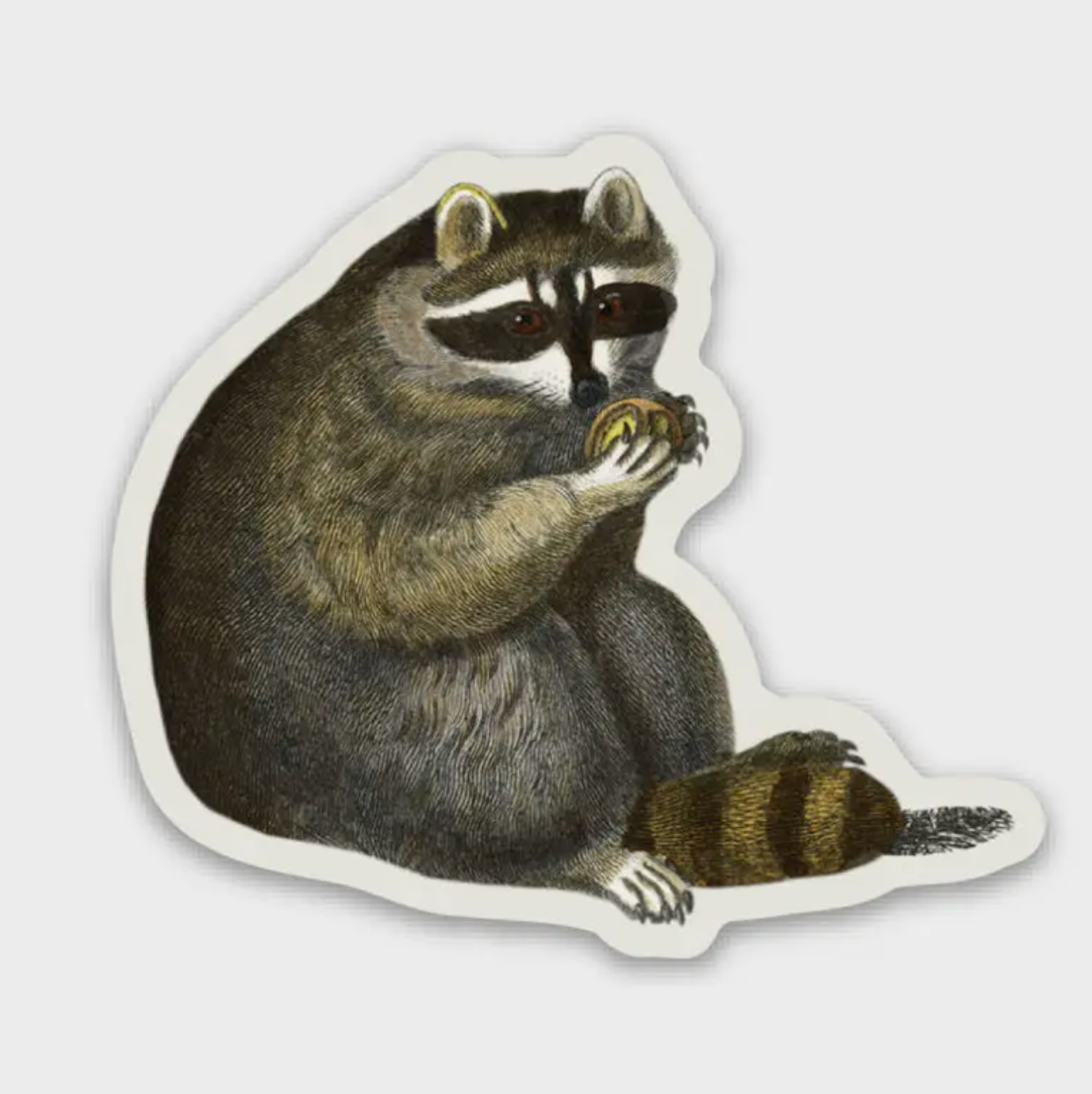 Unbothered Raccoon - Gap Filler Sticker