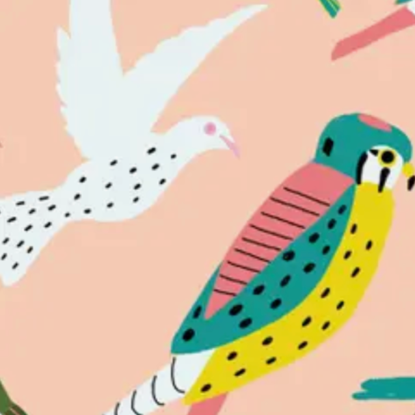 Birds Gift Wrap -Carolyn Suzuki -single sheet