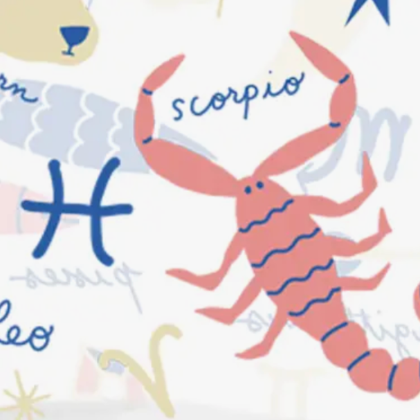 Stargazer Beer Can Glass -Carolyn Suzuki