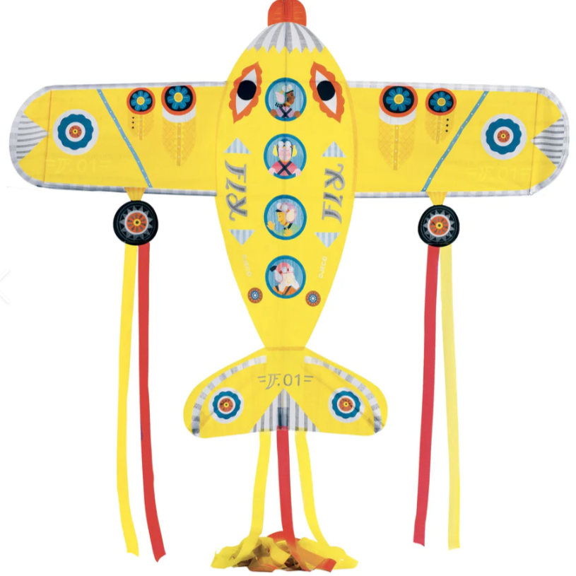 Maxi Plane Giant Kite