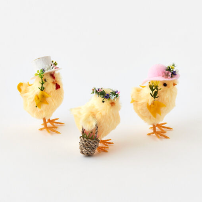Easter Sunday Chicks