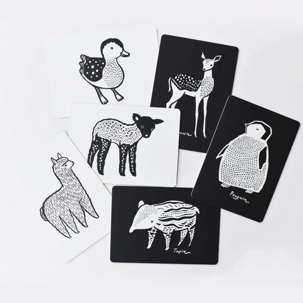 Baby Animal Art Cards (0-2yrs)
