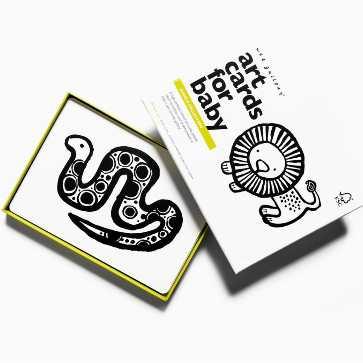 Jungle Art Cards