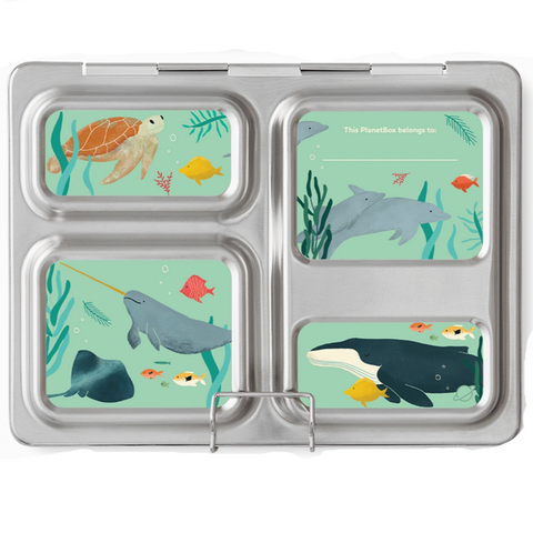 Lunch Box Magnets - Under the Sea