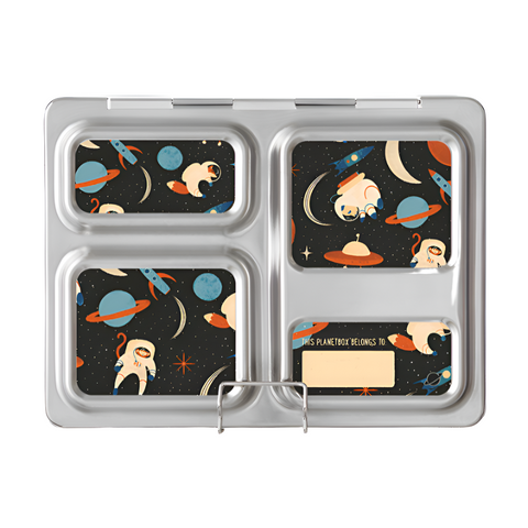 Lunch Box Magnets - Space Animals