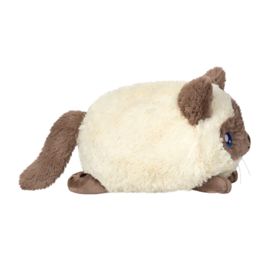 Mini Colorpoint Kitty