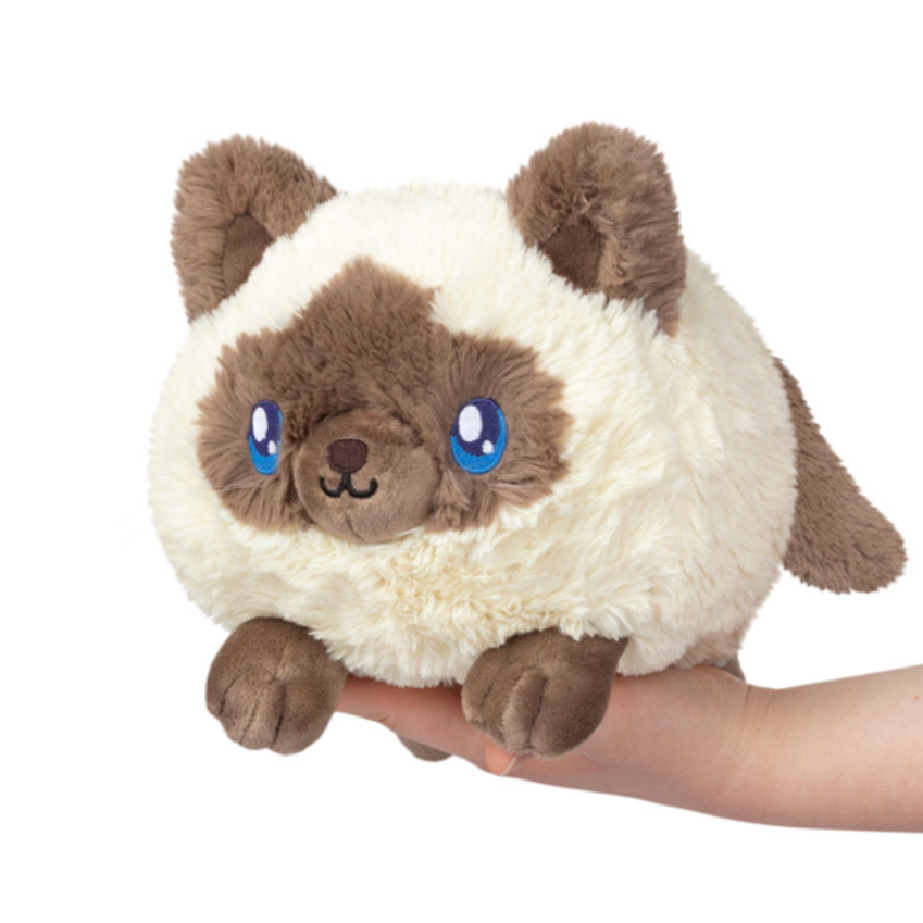 Mini Colorpoint Kitty