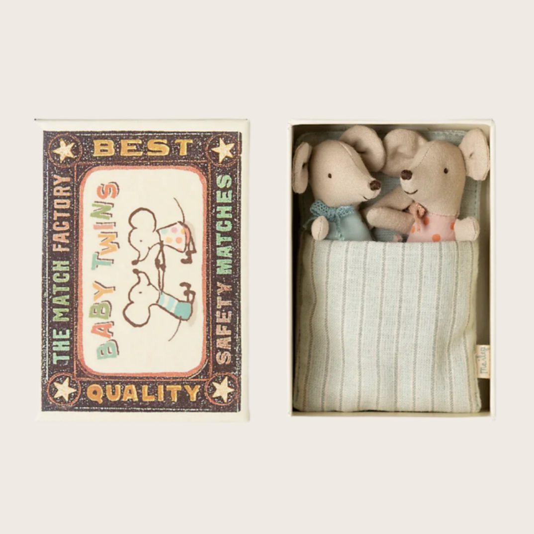 Twins- Baby mice in matchbox