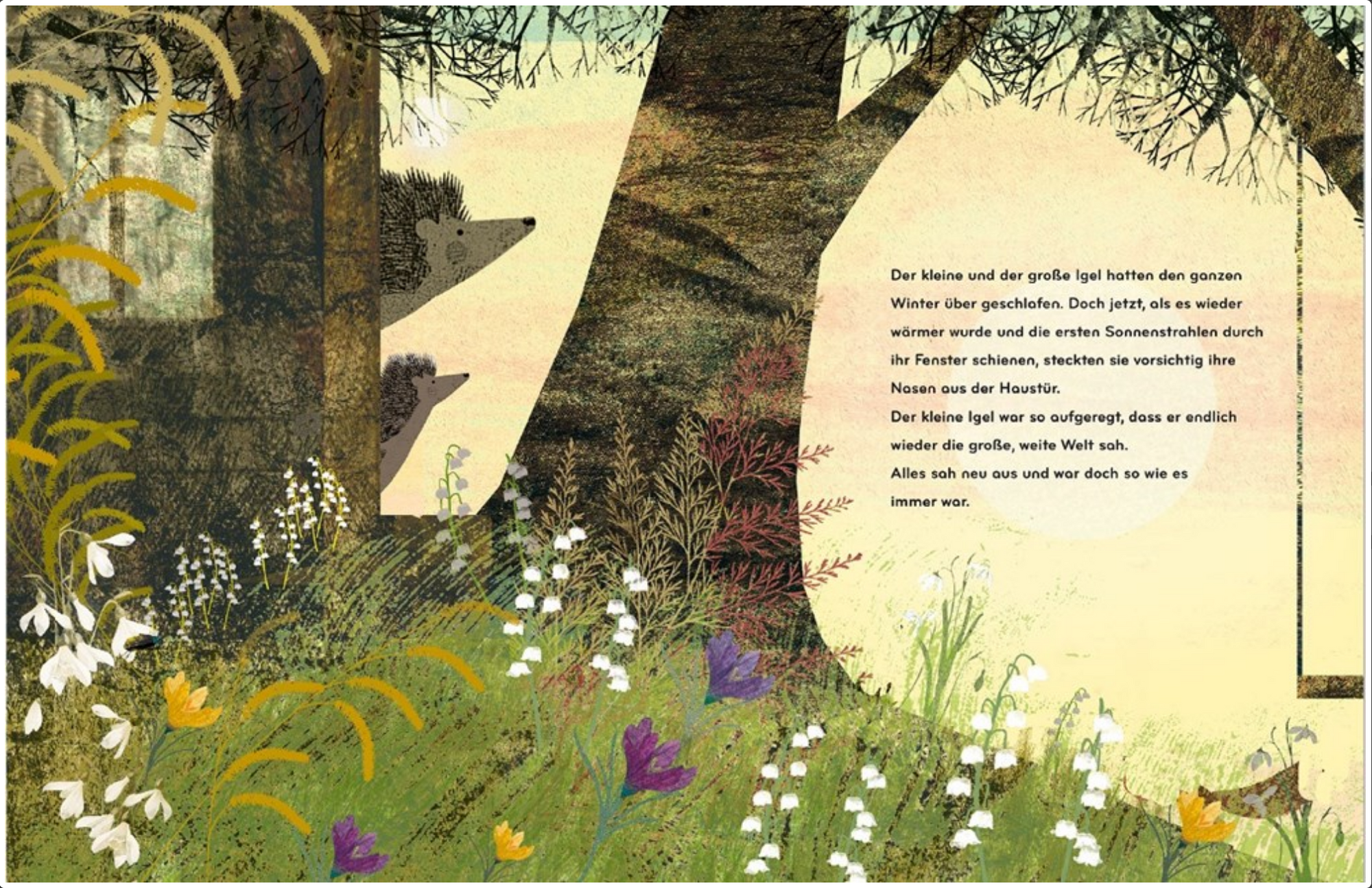 Again!: A Big Hedgehog and Little Hedgehog Adventure