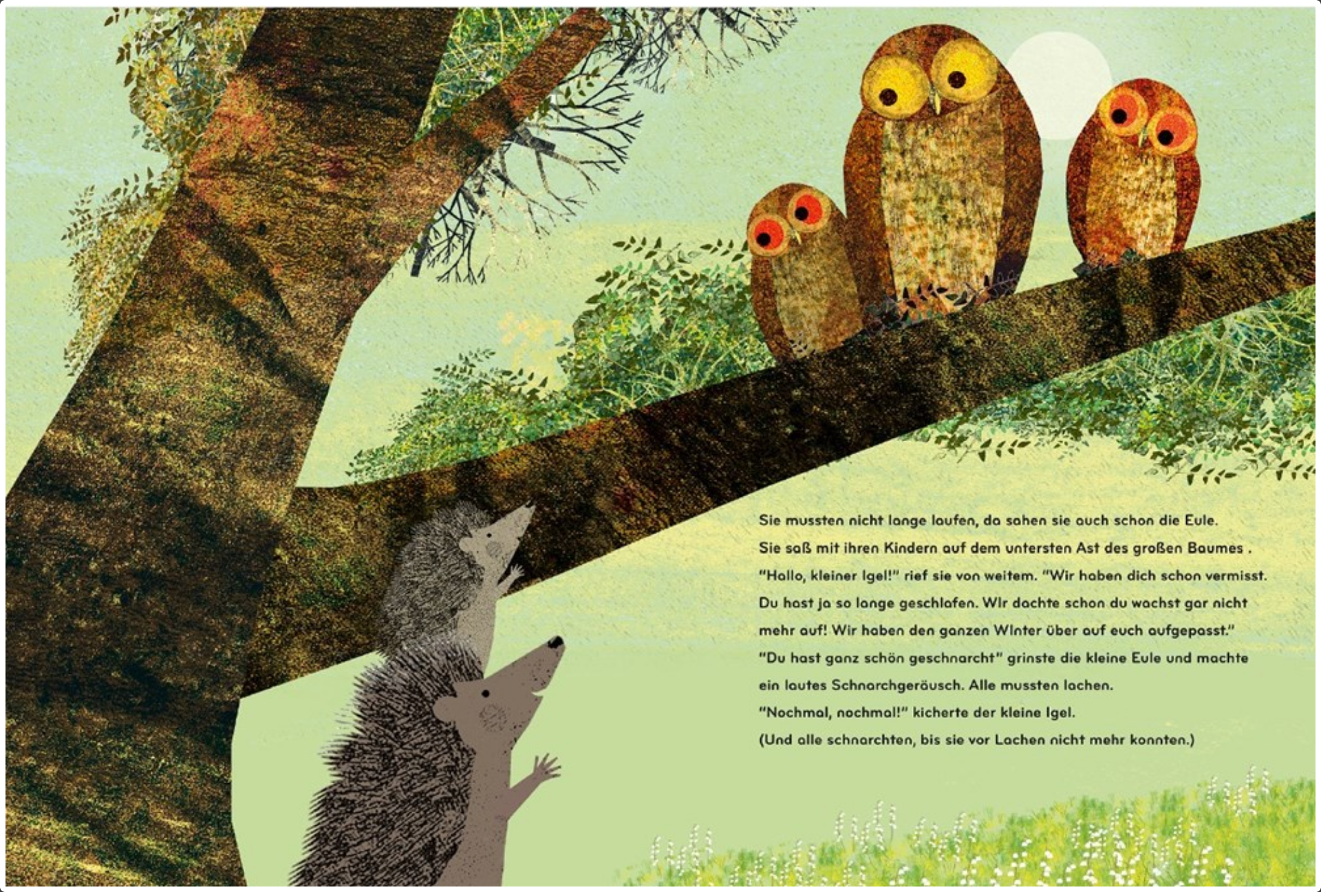 Again!: A Big Hedgehog and Little Hedgehog Adventure