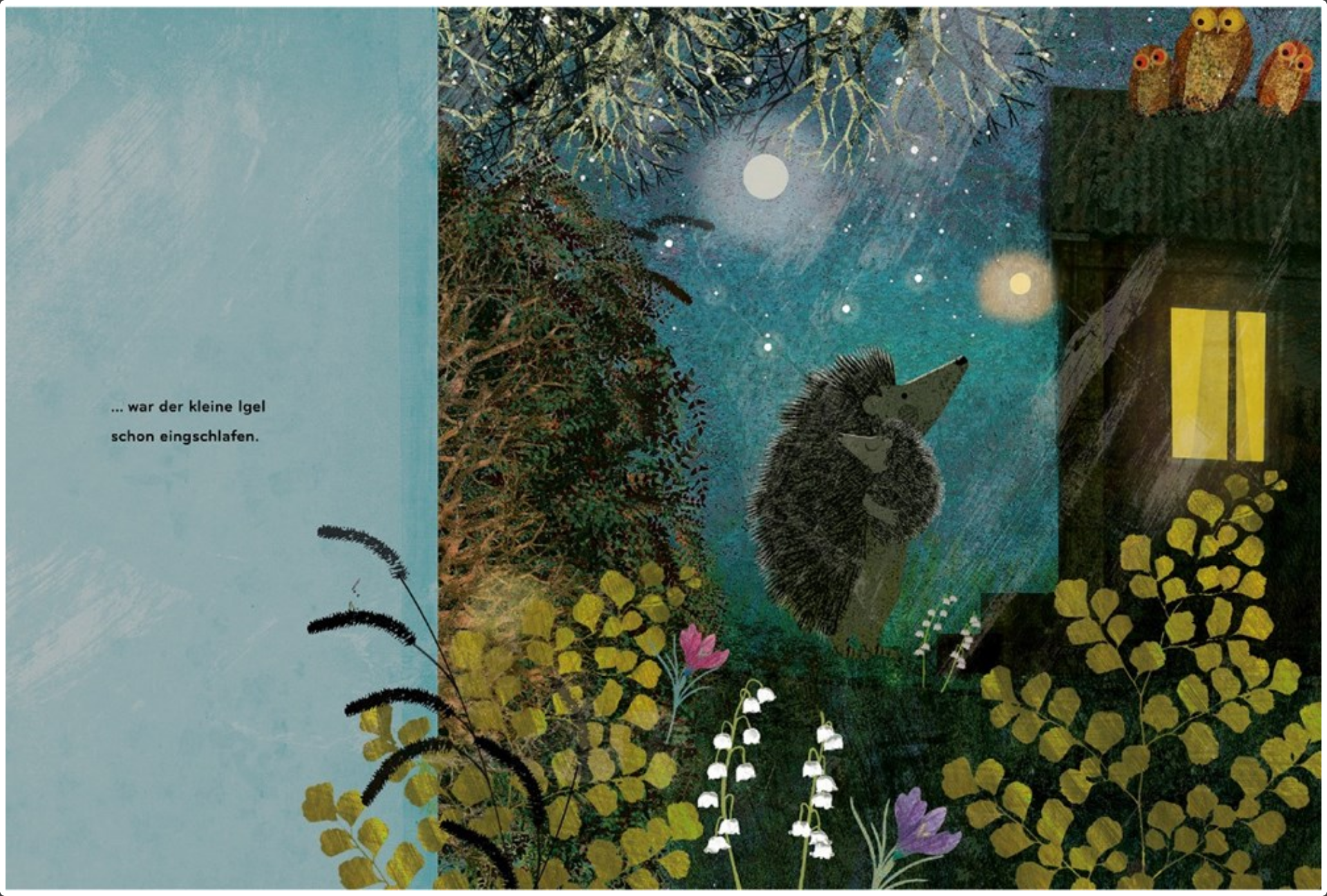 Again!: A Big Hedgehog and Little Hedgehog Adventure