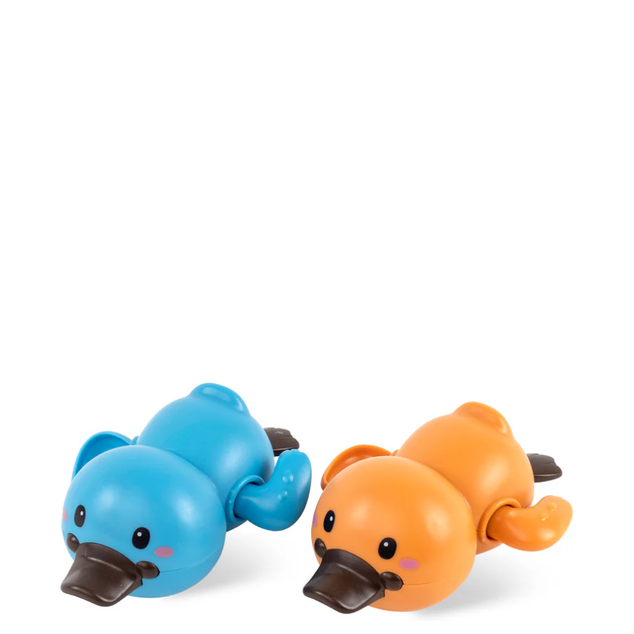 Bath Racers - Platypuses