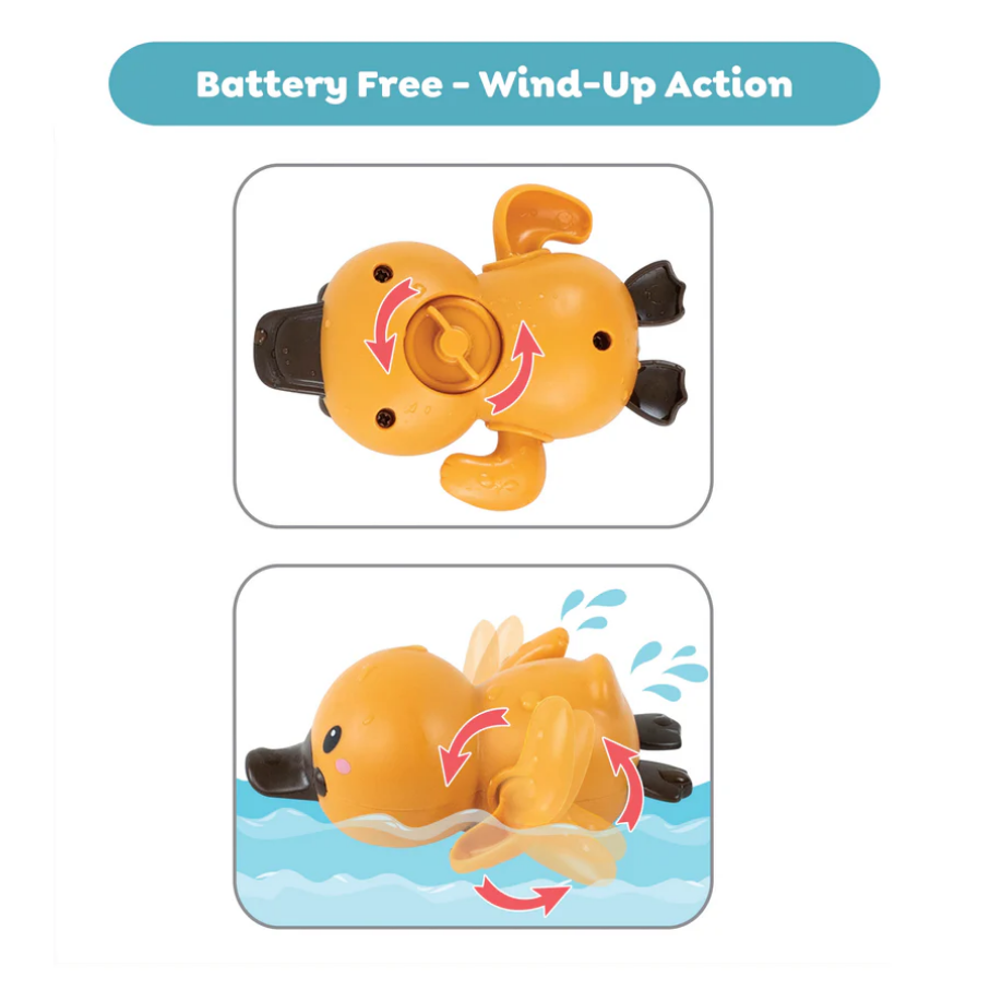 Bath Racers - Platypuses