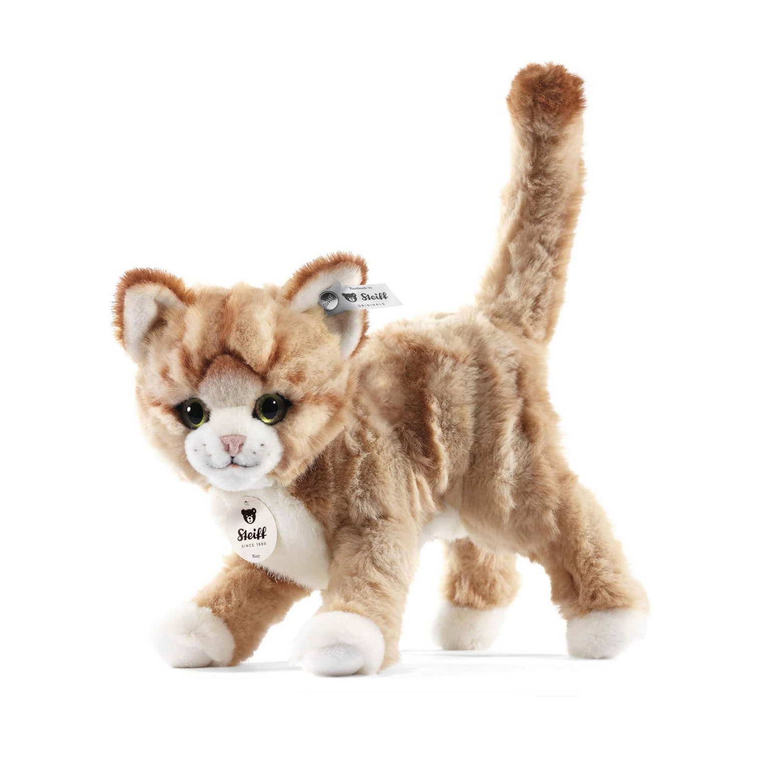Mizzy cat