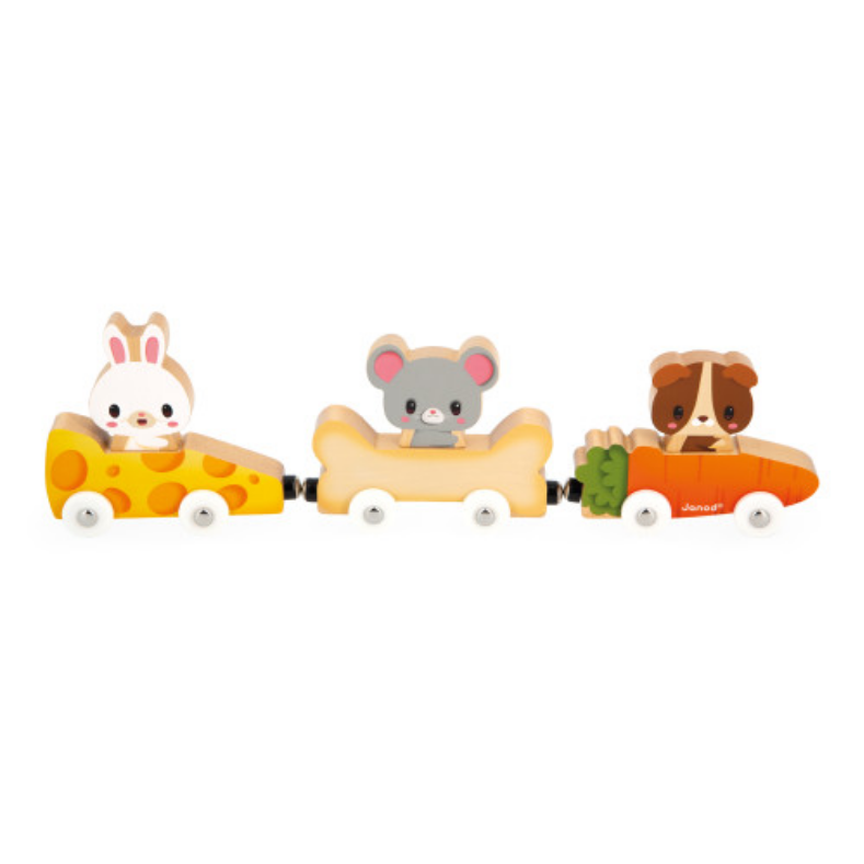 MAGNETIC PETS train