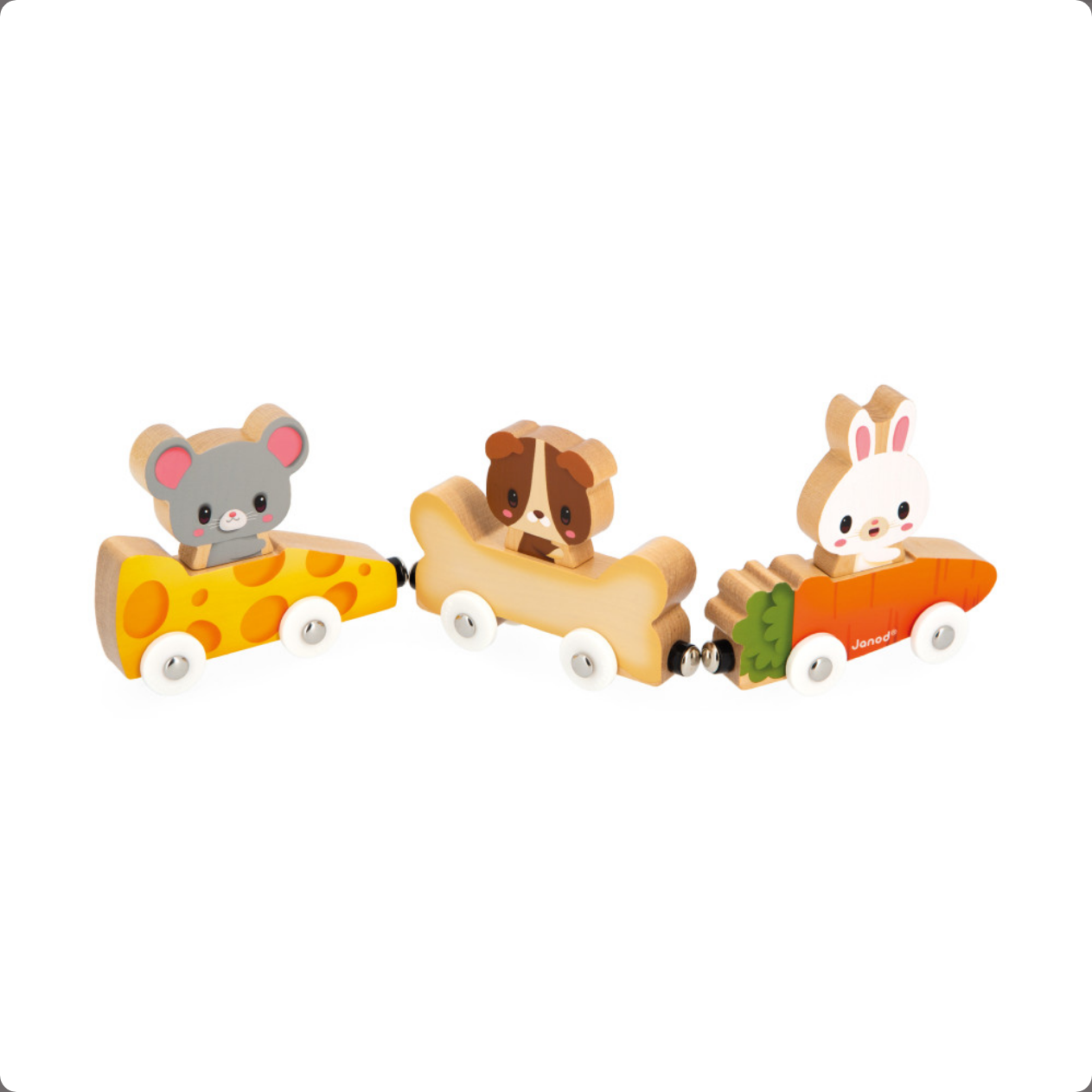MAGNETIC PETS train