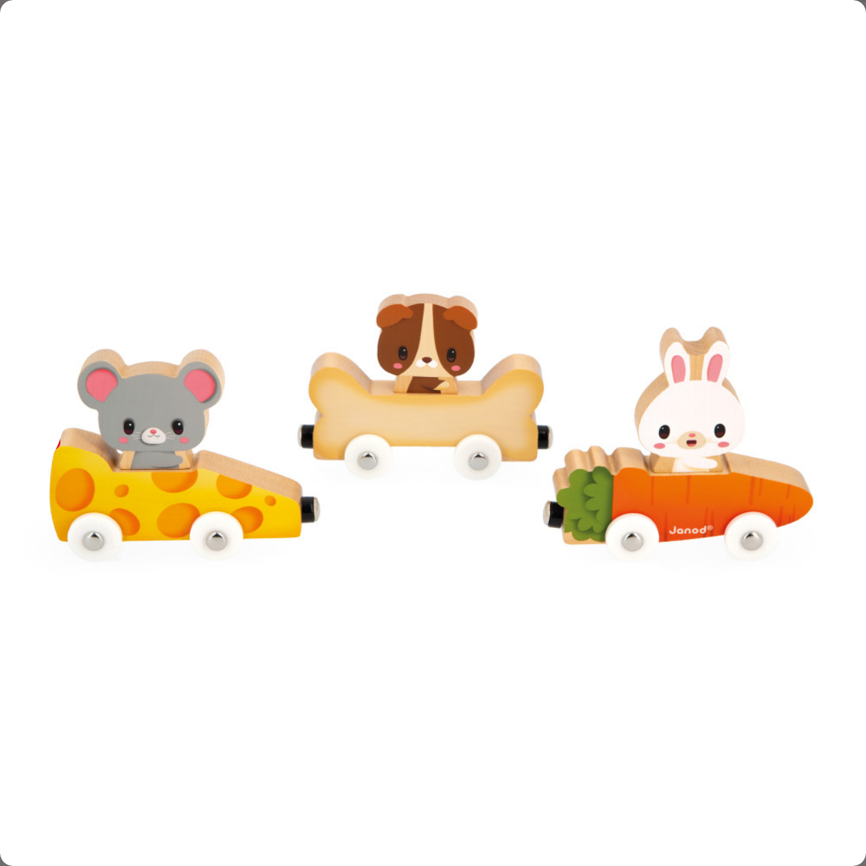 MAGNETIC PETS train
