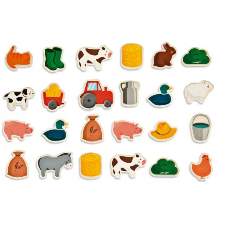 Farn Magnets 24pcs