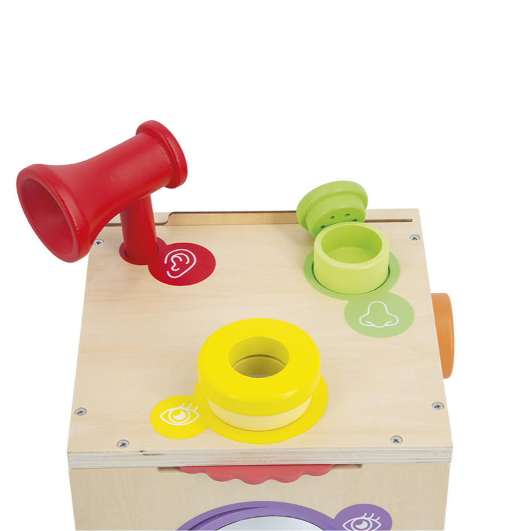 Sensory Multi-Activity Discovery Box