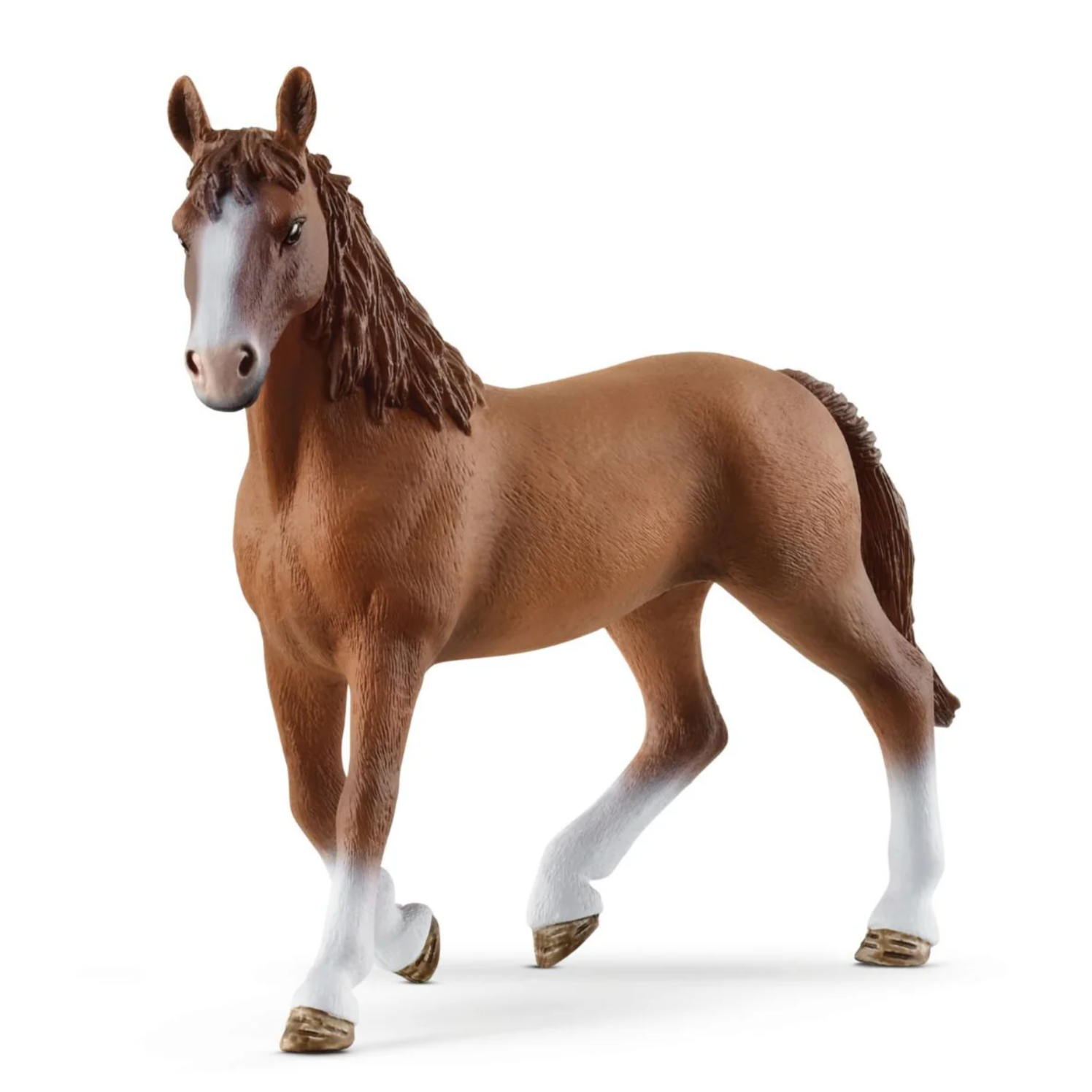 Cheval de Selle Francais Horse