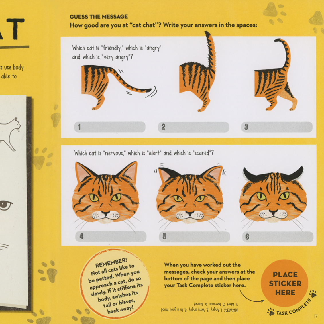 Educational page about cat behavior with illustrations and text on a yellow background